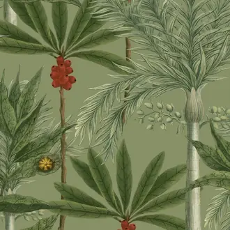 Madagascar WP20520