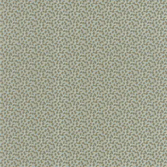 Physis 103656071