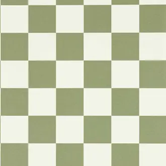 Blenets Check 113171