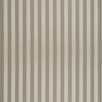 Striatus Pewter