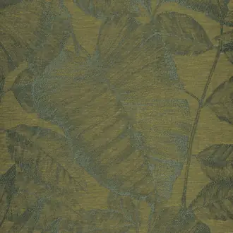 Canna 4093 02 50