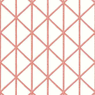 Box Kite T10137