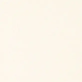 Ario 134451