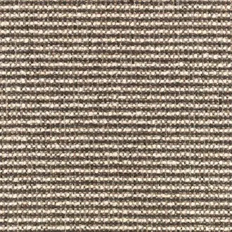 Koa Charcoal
