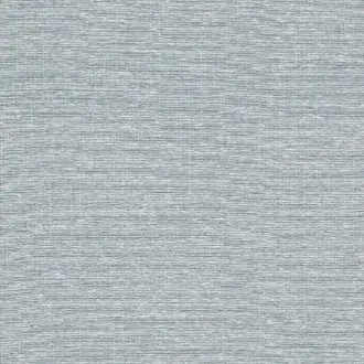 Edward's Paper T19704