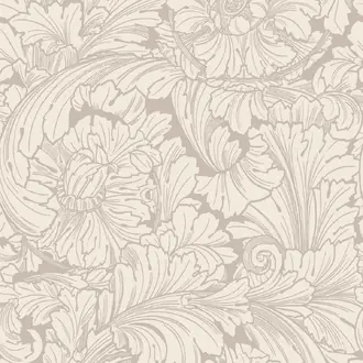 Acanthus 127-6029