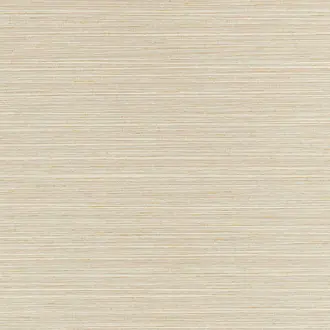 Tenaya T34072