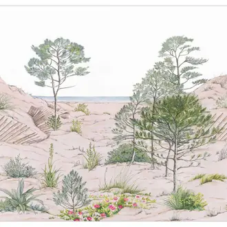 Sand Dune 106377037
