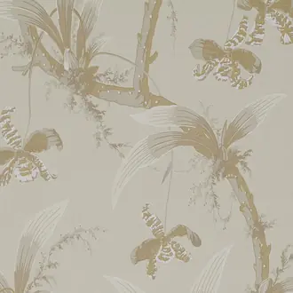 Mandarin Orchids W01017-01
