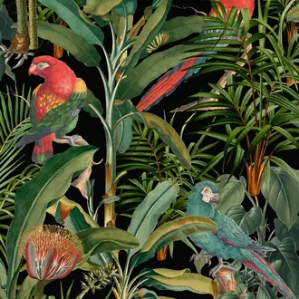Parrots of Brasil Anthracite WP20522