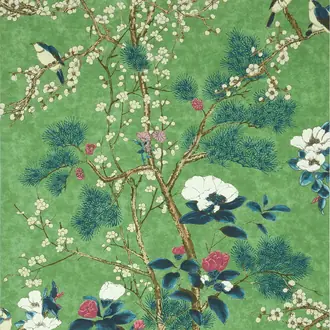 Katsura T13623