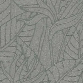 Strelitzia 60751