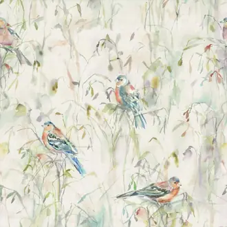 Chaffinch Cream