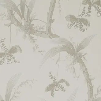 Mandarin Orchids W01017-02