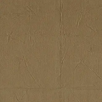 Abuko 04 Bronze