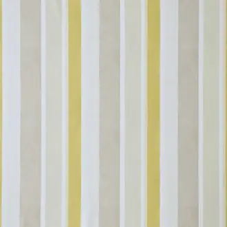 Celia Maize