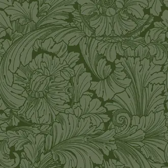 Acanthus 127-6031