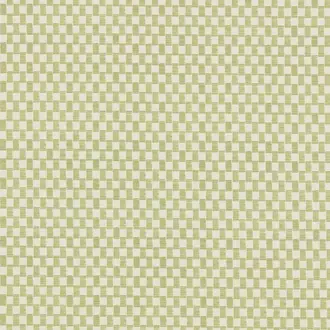 Zoe Pistachio