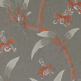 Mandarin Orchids W01017-03