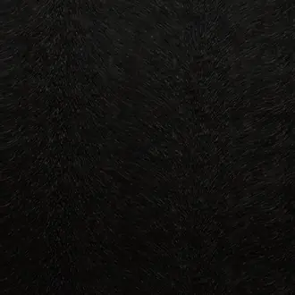 Allegra Coal