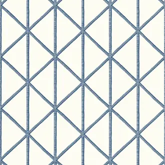 Box Kite T10139