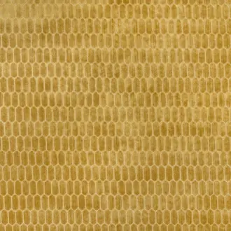 Rialta Pollen
