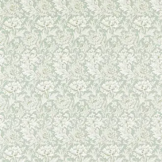 Chrysanthemum Toile 226911