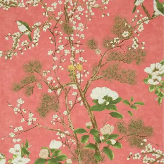 Katsura T13624