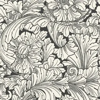 Acanthus 127-6032