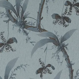 Mandarin Orchids W01017-04