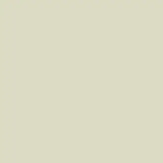 Silt Green Paint