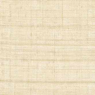 Abaca VP 983 04