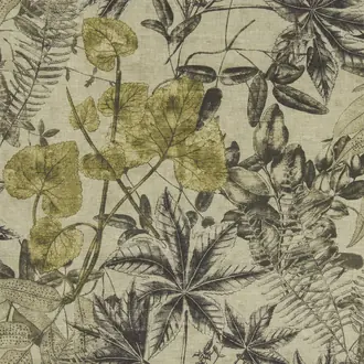 Madagascar F1301-01