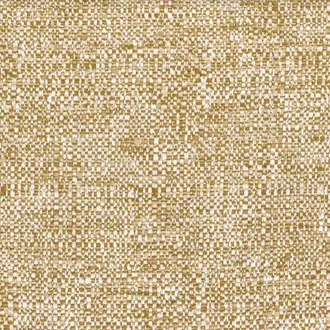 Kiona 50390511