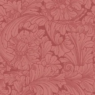 Acanthus 127-6033