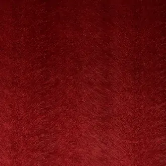 Allegra Cranberry