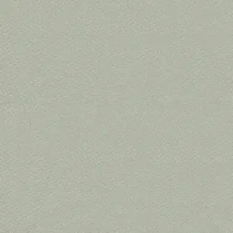 Apollo Seafoam