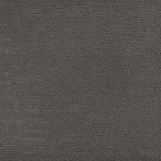 Dinisia 84026-63