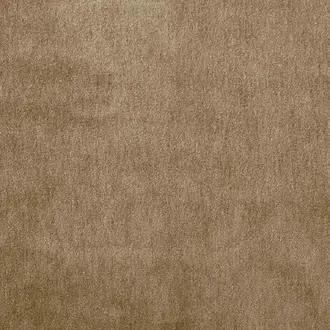 Cape-Mohair Papyrus