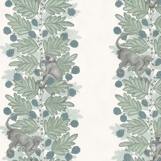 Acacia 109-11052