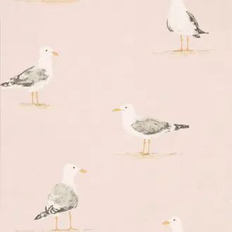 Shore Birds 216562