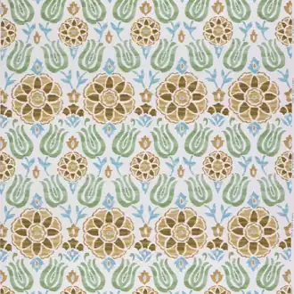 Cassia CCF0896-02