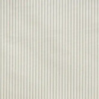 Augustine B7576004