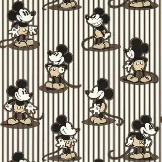 Mickey Stripe DDIW217272