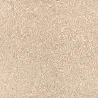 Nivu Almond