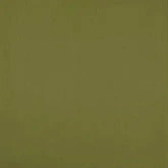 Lustre Pistachio