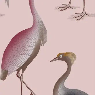 Garzas GDW-5773-006