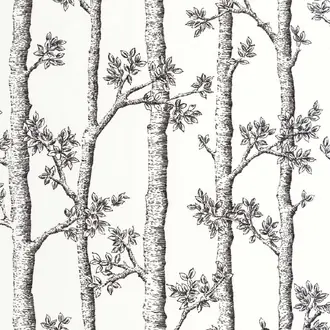 Automne 106120000