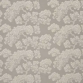 Bonsai JT014005-002