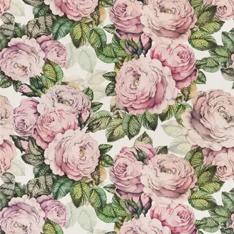 The Rose Tuberose FJD6006-02
